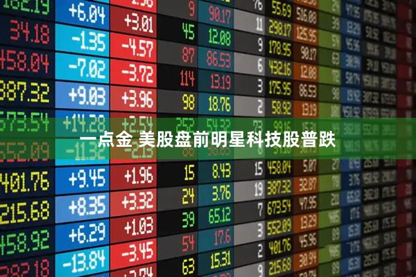 一点金 美股盘前明星科技股普跌
