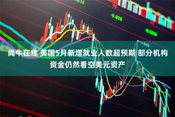 尚牛在线 美国5月新增就业人数超预期 部分机构资金仍然看空美元资产