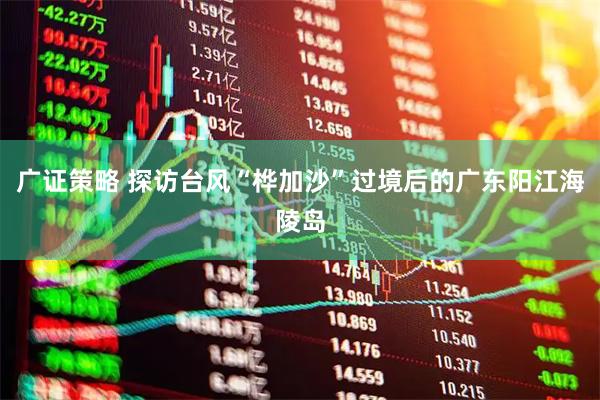 广证策略 探访台风“桦加沙”过境后的广东阳江海陵岛