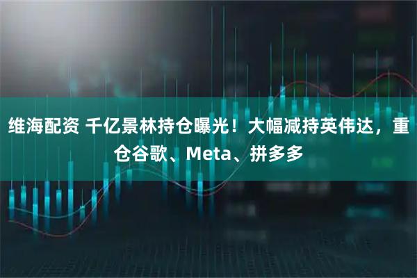 维海配资 千亿景林持仓曝光！大幅减持英伟达，重仓谷歌、Meta、拼多多