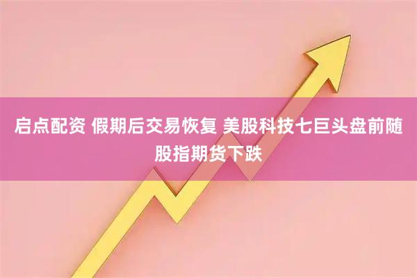 启点配资 假期后交易恢复 美股科技七巨头盘前随股指期货下跌