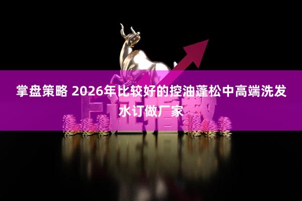 掌盘策略 2026年比较好的控油蓬松中高端洗发水订做厂家