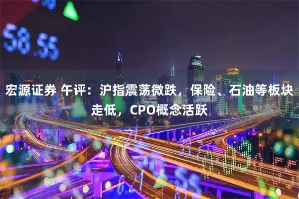 宏源证券 午评：沪指震荡微跌，保险、石油等板块走低，CPO概念活跃