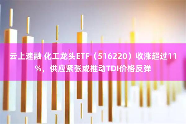 云上速融 化工龙头ETF（516220）收涨超过11%，供应紧张或推动TDI价格反弹