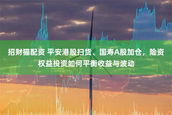 招财猫配资 平安港股扫货、国寿A股加仓，险资权益投资如何平衡收益与波动