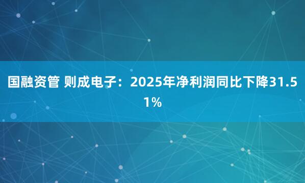 国融资管 则成电子：2025年净利润同比下降31.51%